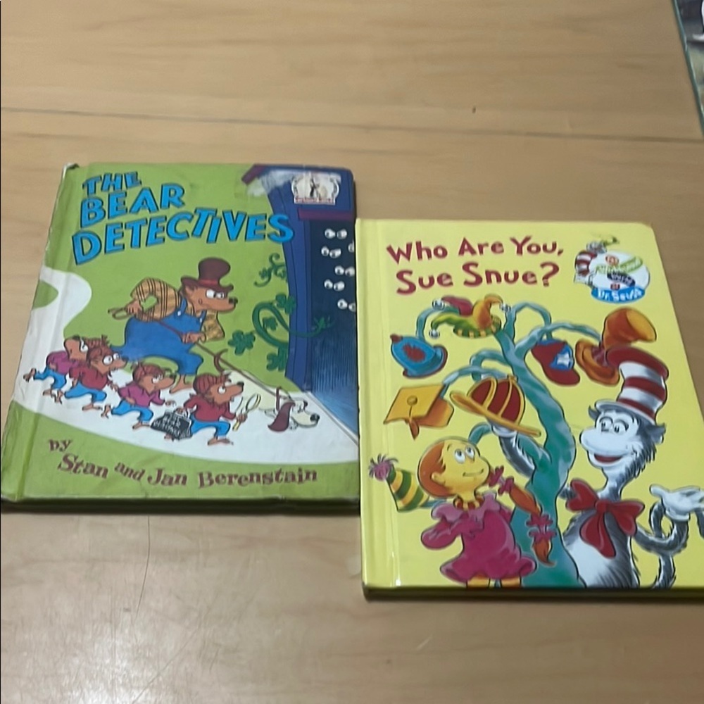 Children's Book Set - The Bear Detectives & Who Are You, Sue Snue?